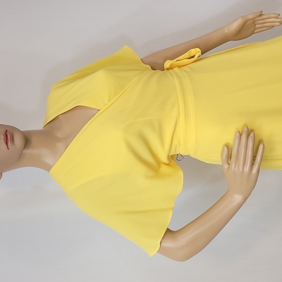 Maggy London Side Pleated Bodice Overlap Dress - Picture 7 of 17